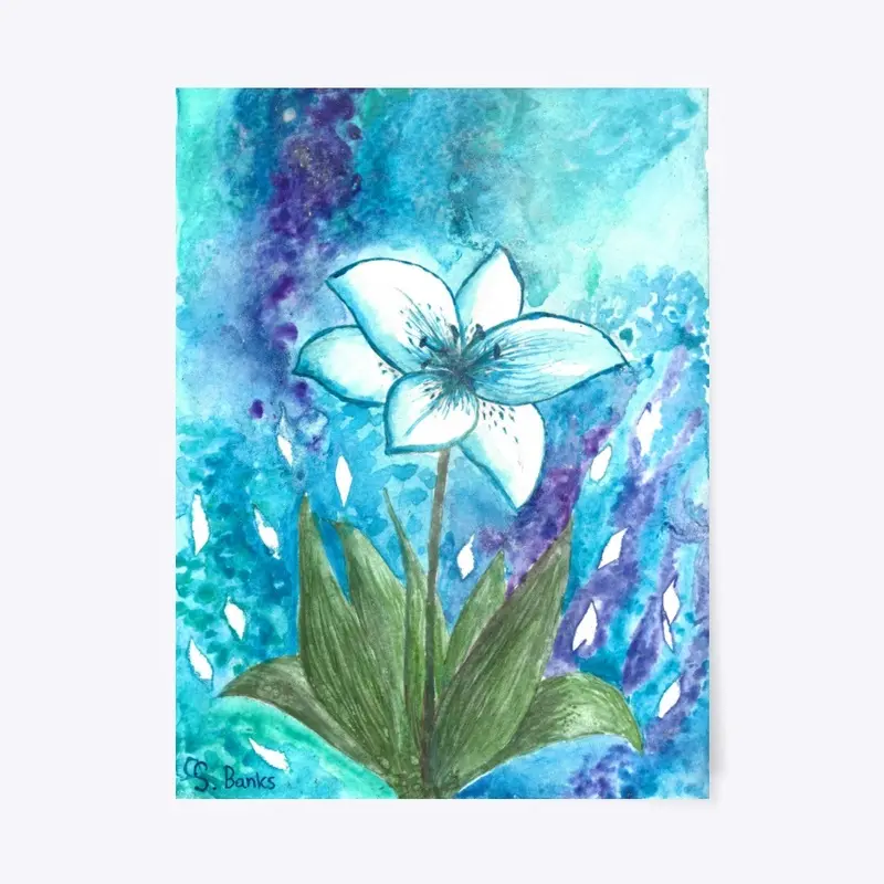 blue lily