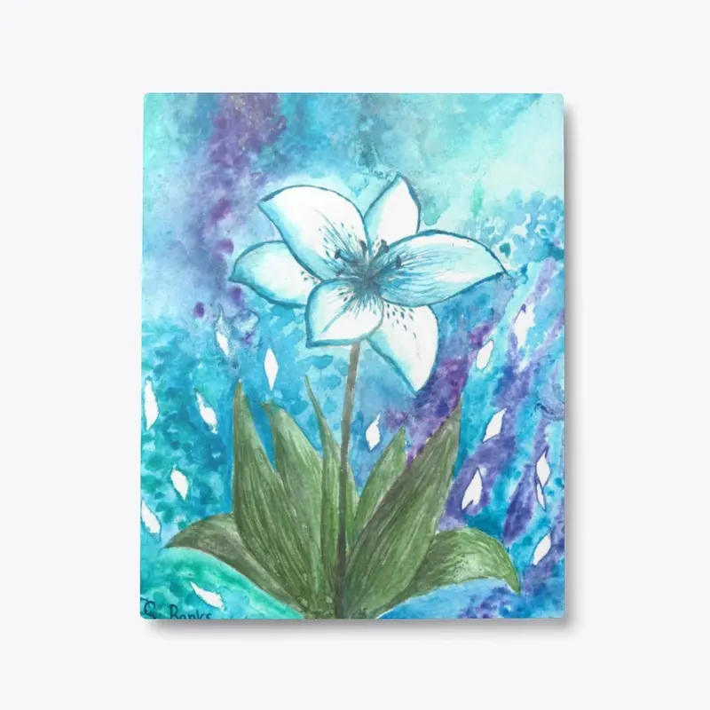 blue lily